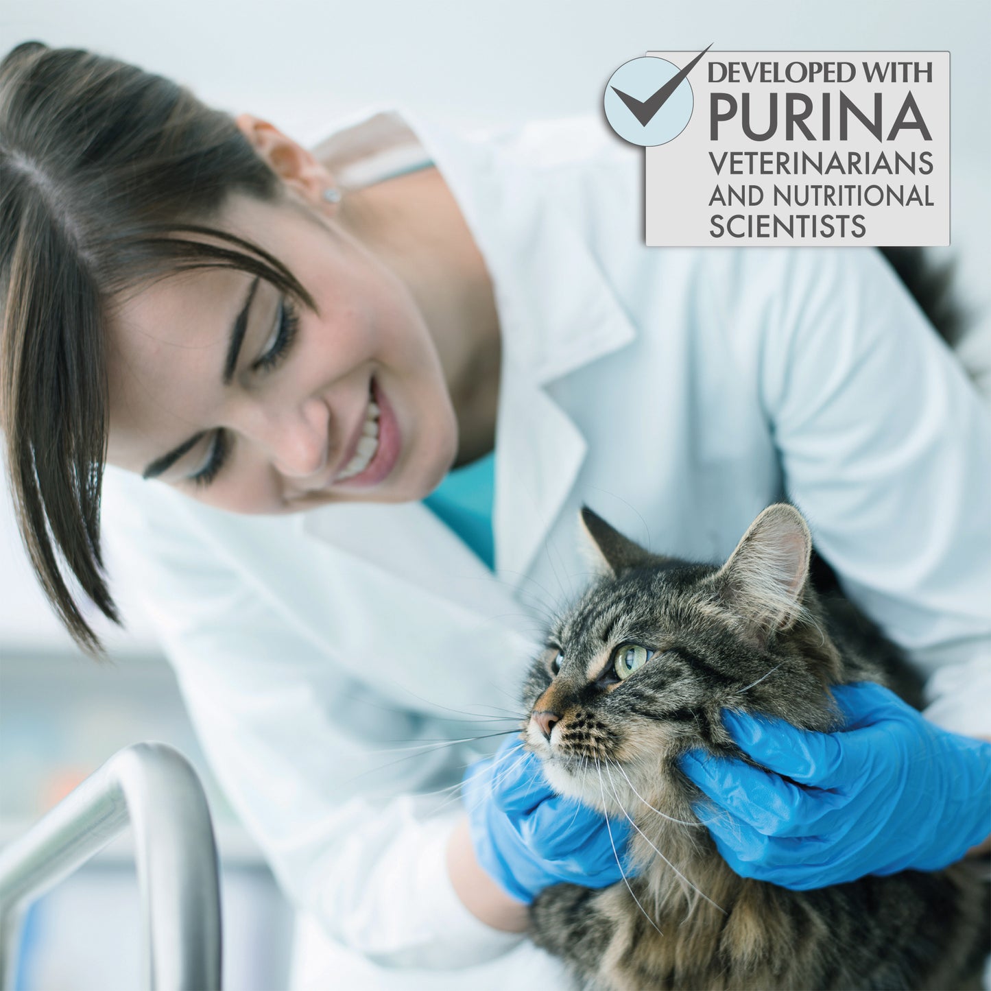 Purina One Urinary Care Chicken