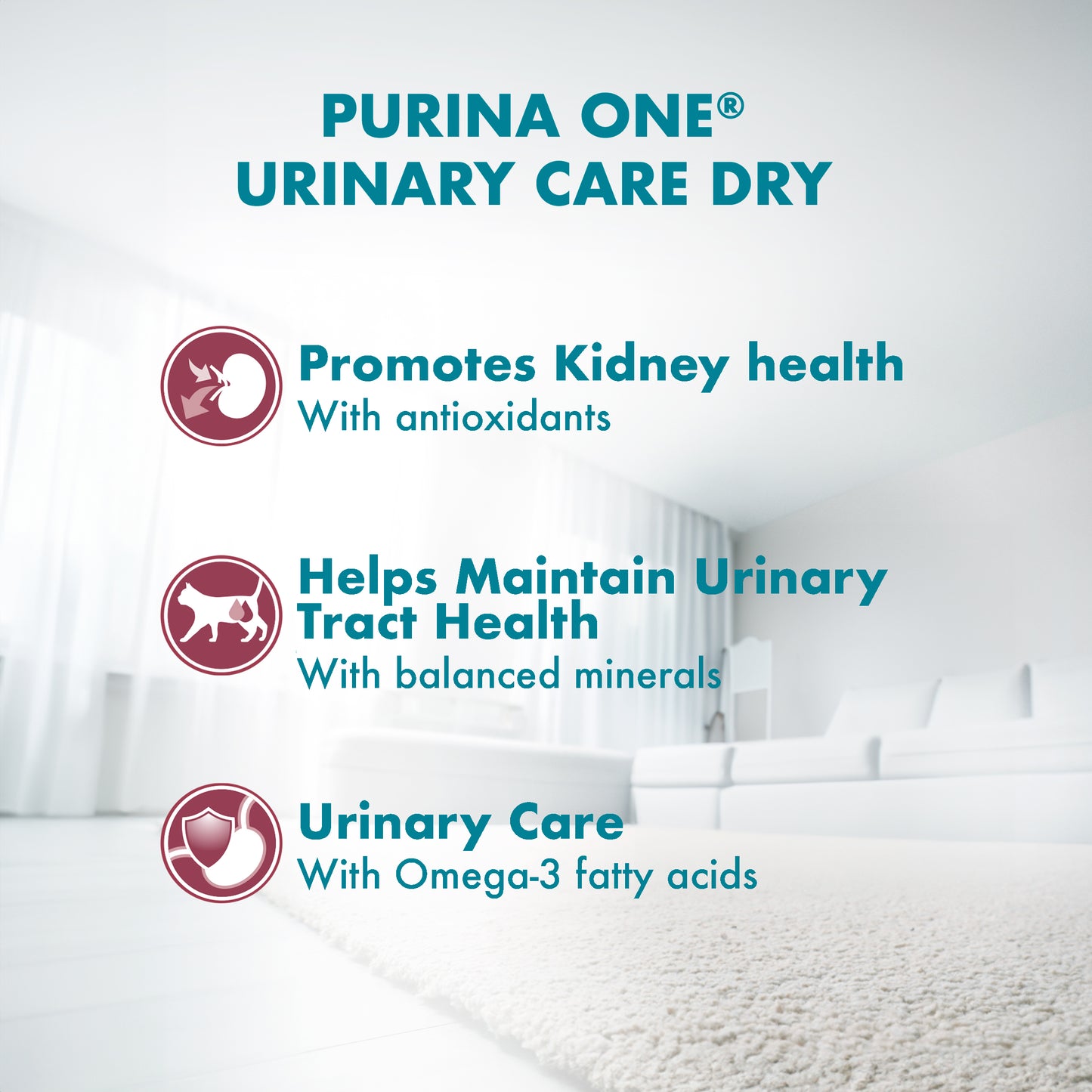 Purina One Urinary Care Chicken