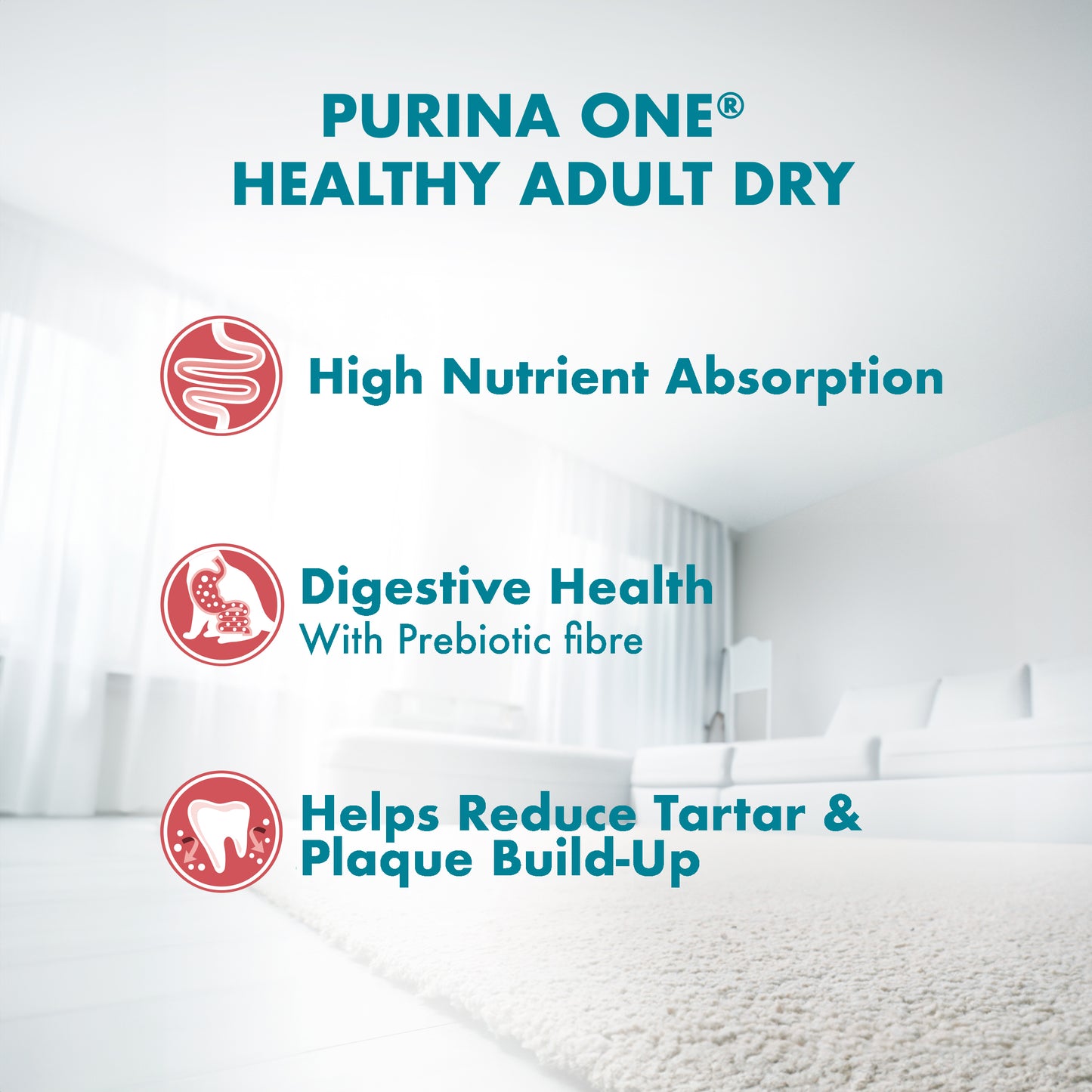 Purina One Healthy Adult Samon