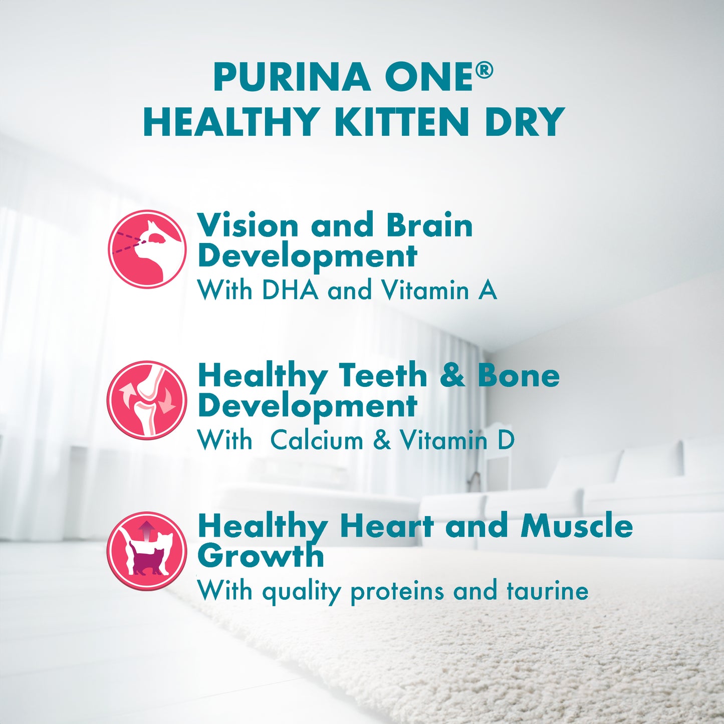 Purina One Healthy Kitten Chicken