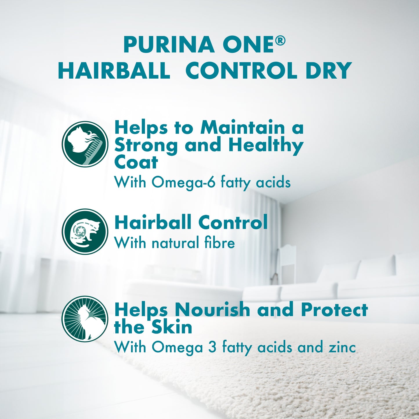 Purina One Coat & Hairball Chicken