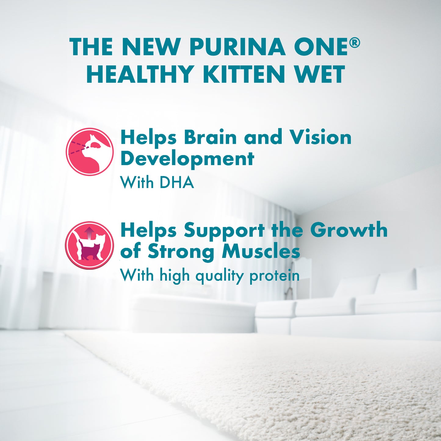 Purina One Kitten Wet Pouch