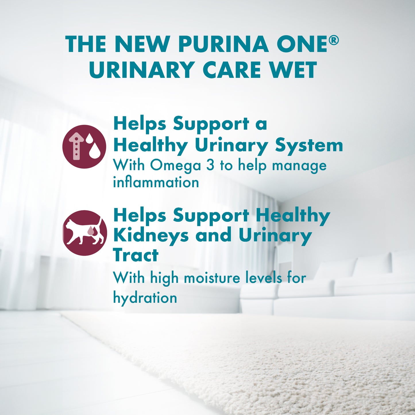 Purina One Adult Cat Urinary Care Wet Pouch (Copy)