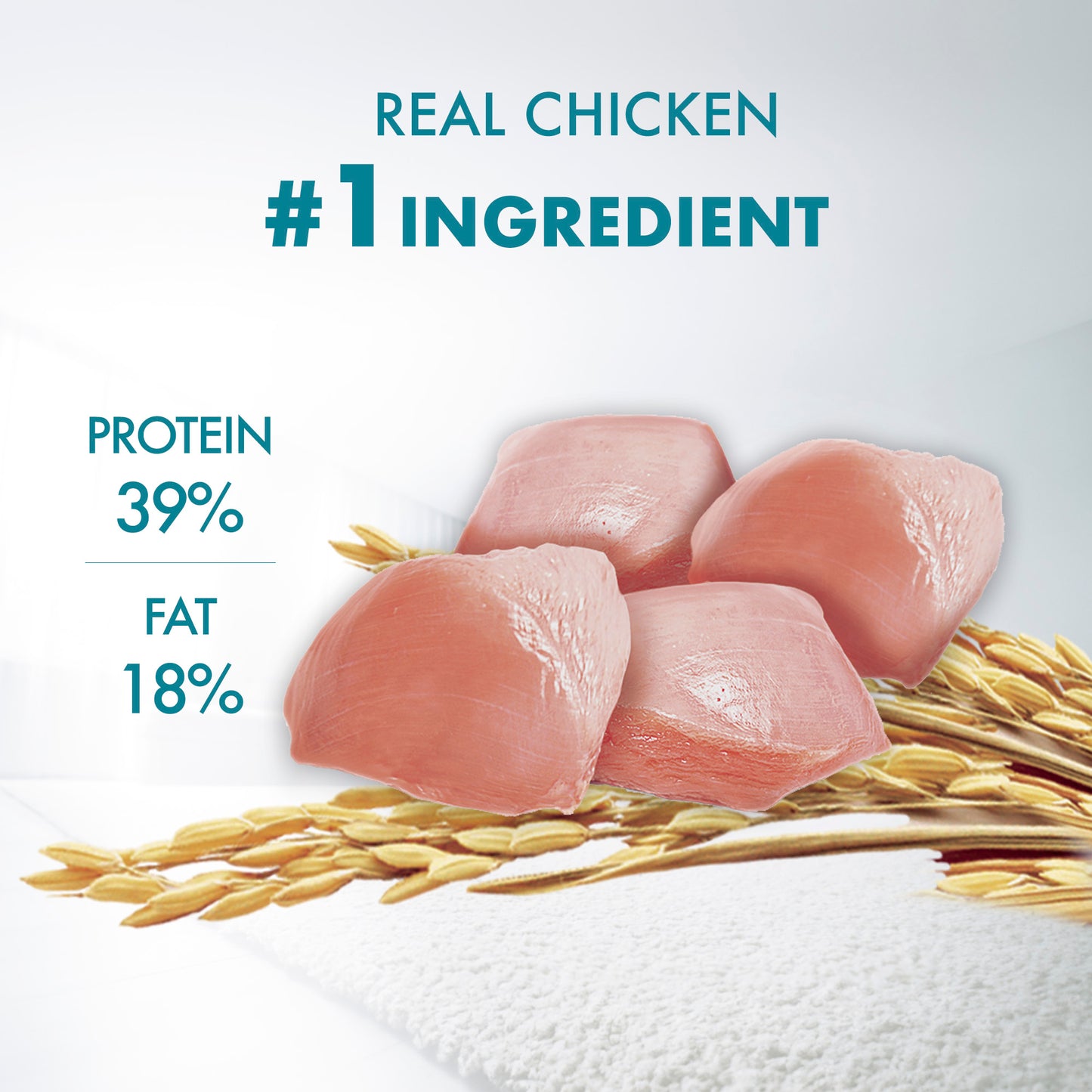 Purina One Healthy Kitten Chicken