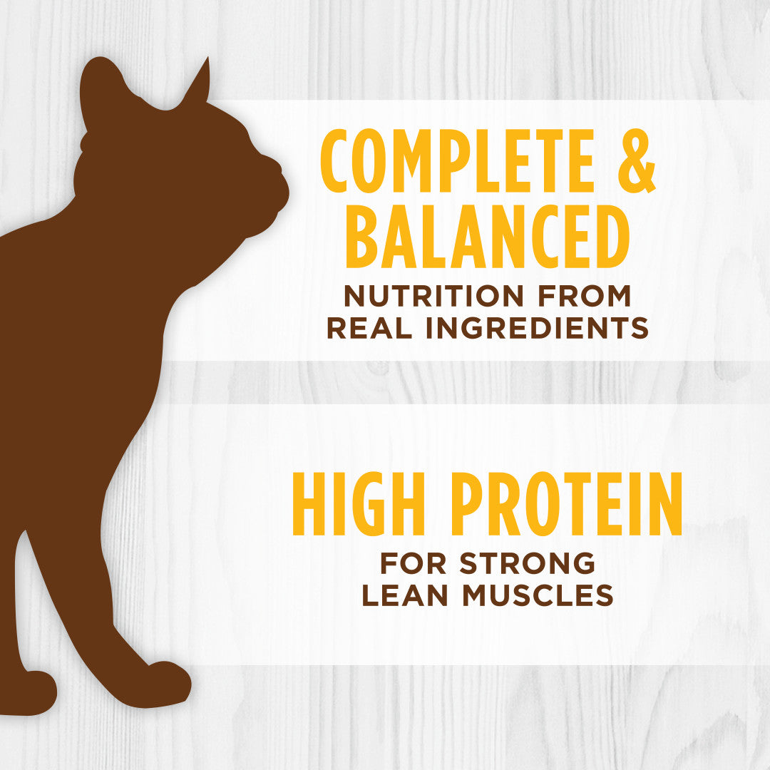 Instinct Original Grain-Free Pate Real Chicken Recipe Canned Cat