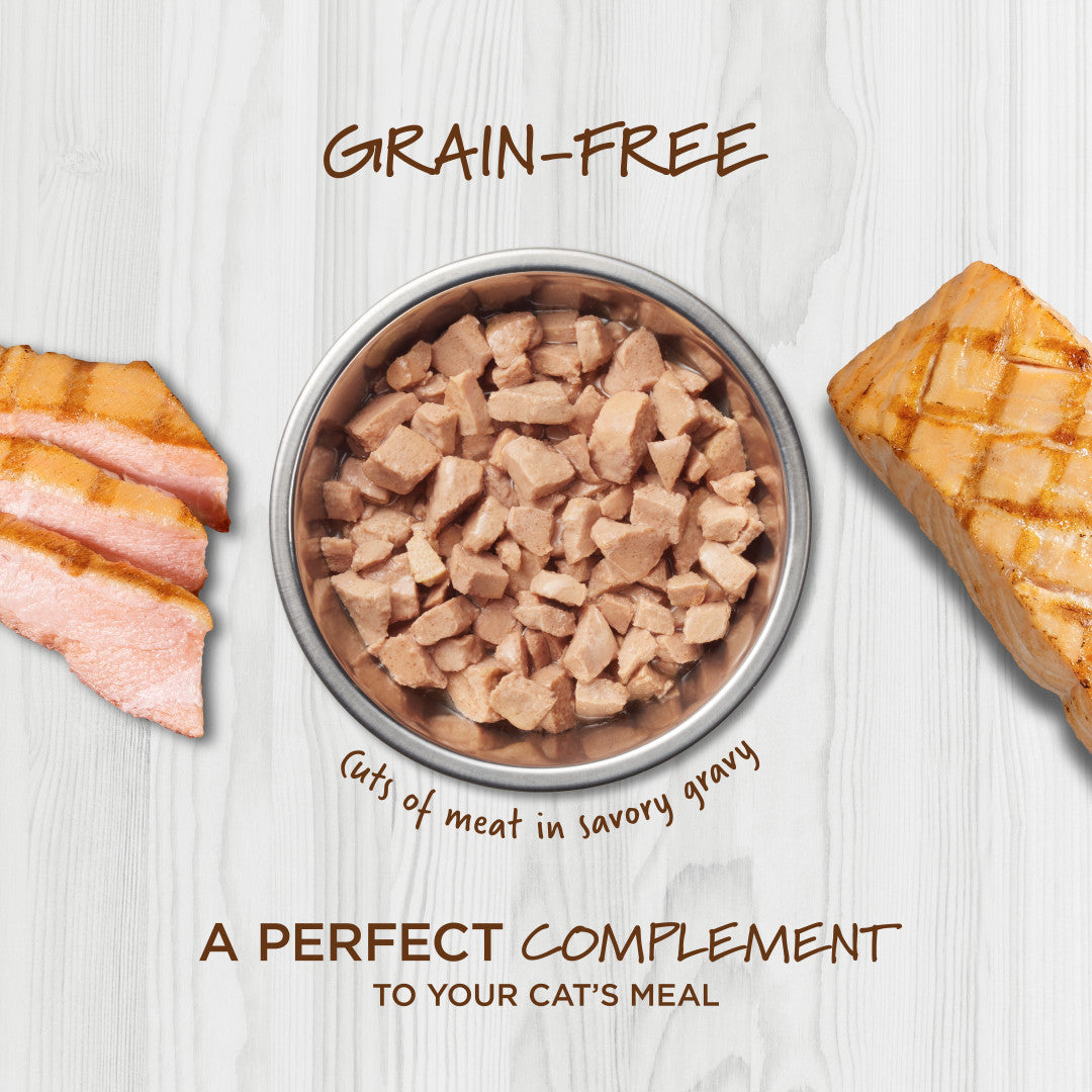 Instinct Healthy Cravings Grain-Free Real Salmon Wet Cat Food Topper