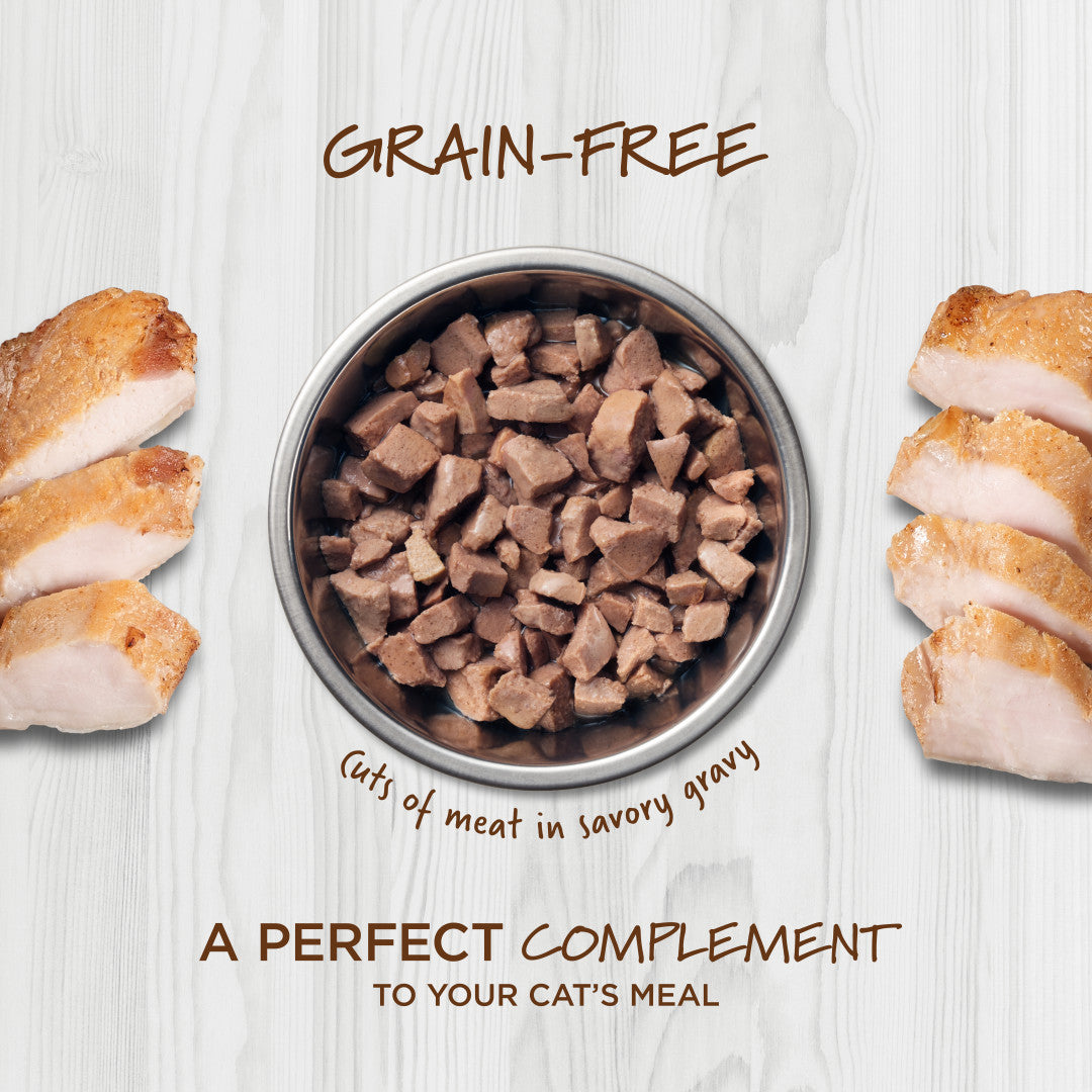 Instinct Healthy Cravings Grain-Free Real Rabbit Recipe in Savory Gravy Wet Cat Food Topper