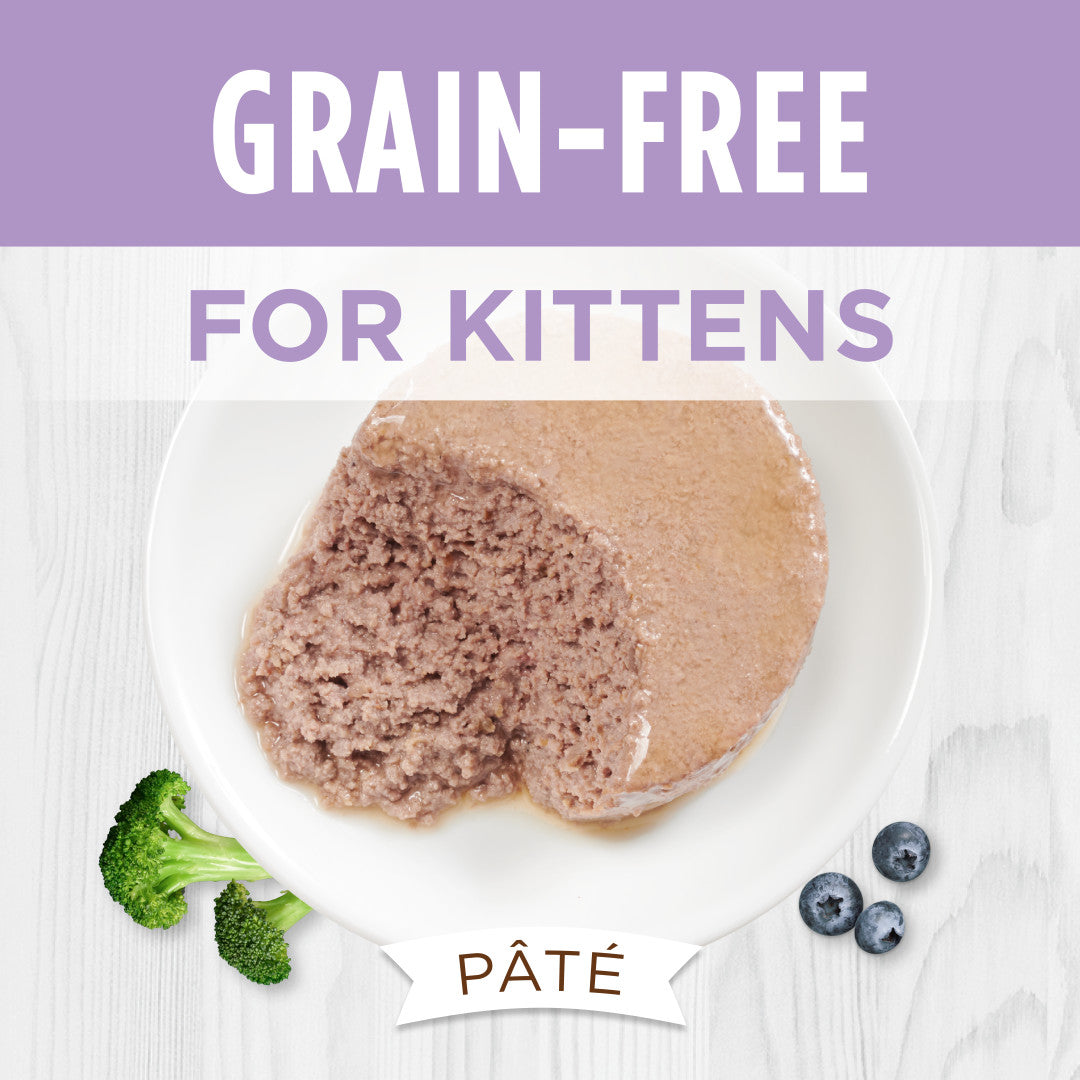 Instinct Original Grain-Free Pate Real Kitten Recipe Canned Cat