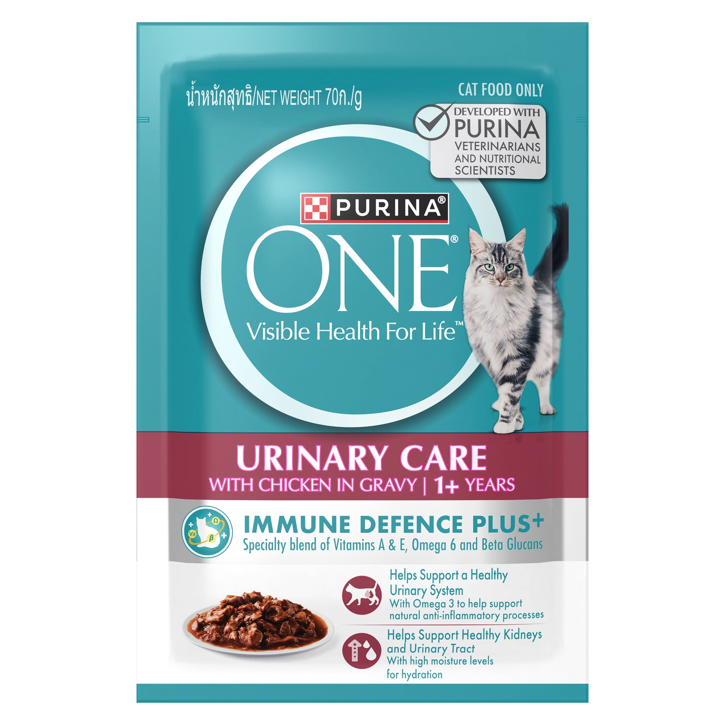 Purina One Adult Cat Urinary Care Wet Pouch (Copy)