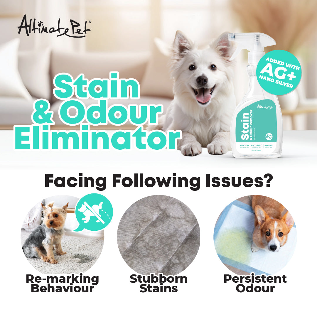 Altimate Pet Stain & Odor Remover Spray with Nano Silver For Dogs