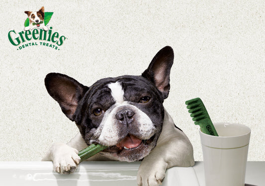 Greenies Dog Dental Treat