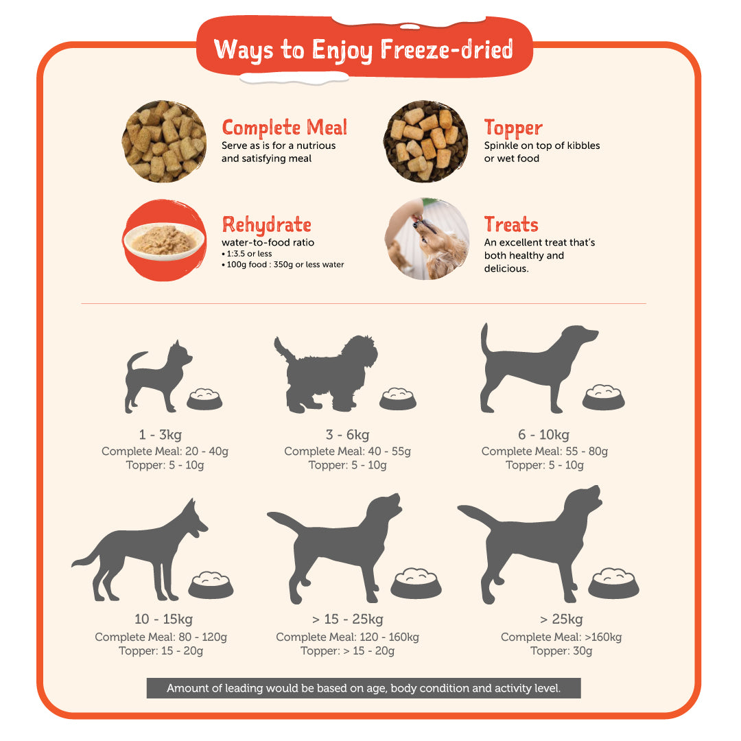 Loveabowl Freeze-a-Bowl for Dogs