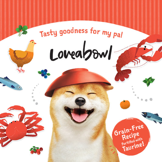 Loveabowl Chicken with Atlantic Lobster Dog Food