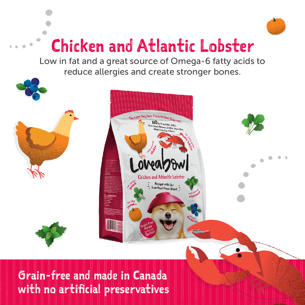 Loveabowl Chicken with Atlantic Lobster Dog Food