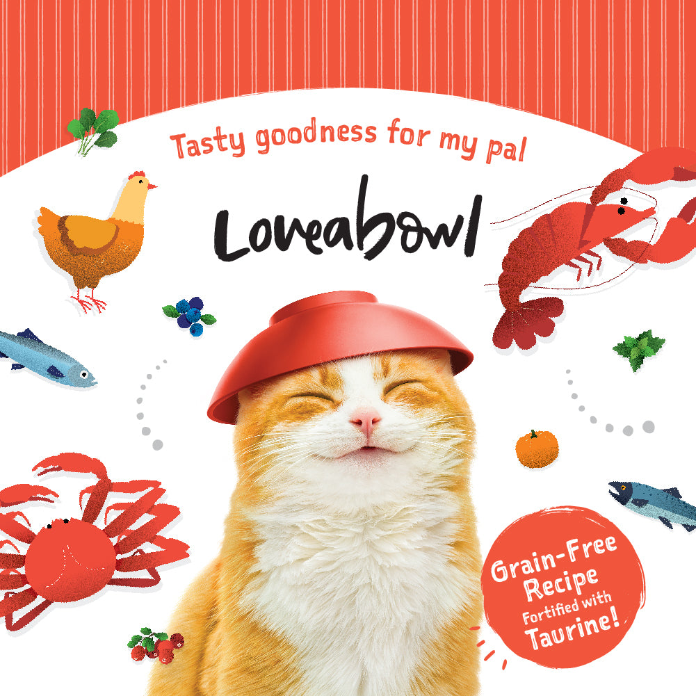 Loveabowl Chicken Cat Food