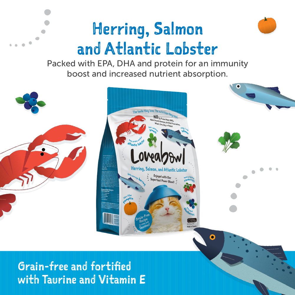 Loveabowl Grain Free Dry Cat Food Herring, Salmon & Lobster