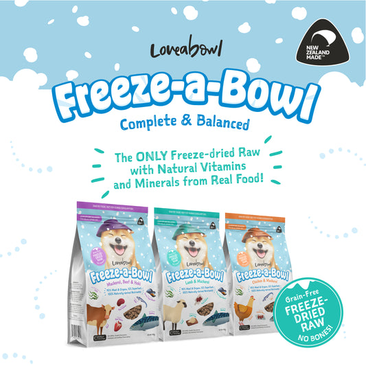 Loveabowl Freeze-a-Bowl for Dogs