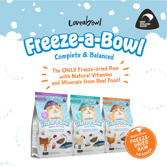 Loveabowl Freeze-a-Bowl for Cats