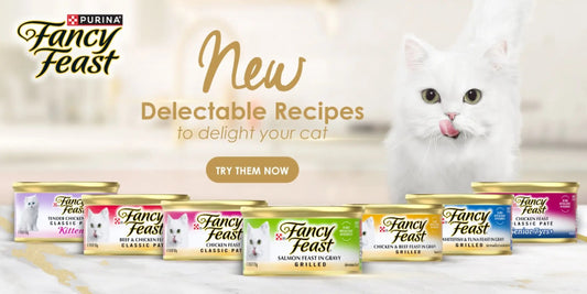 Fancy Feast Gravy Cat Canned Food