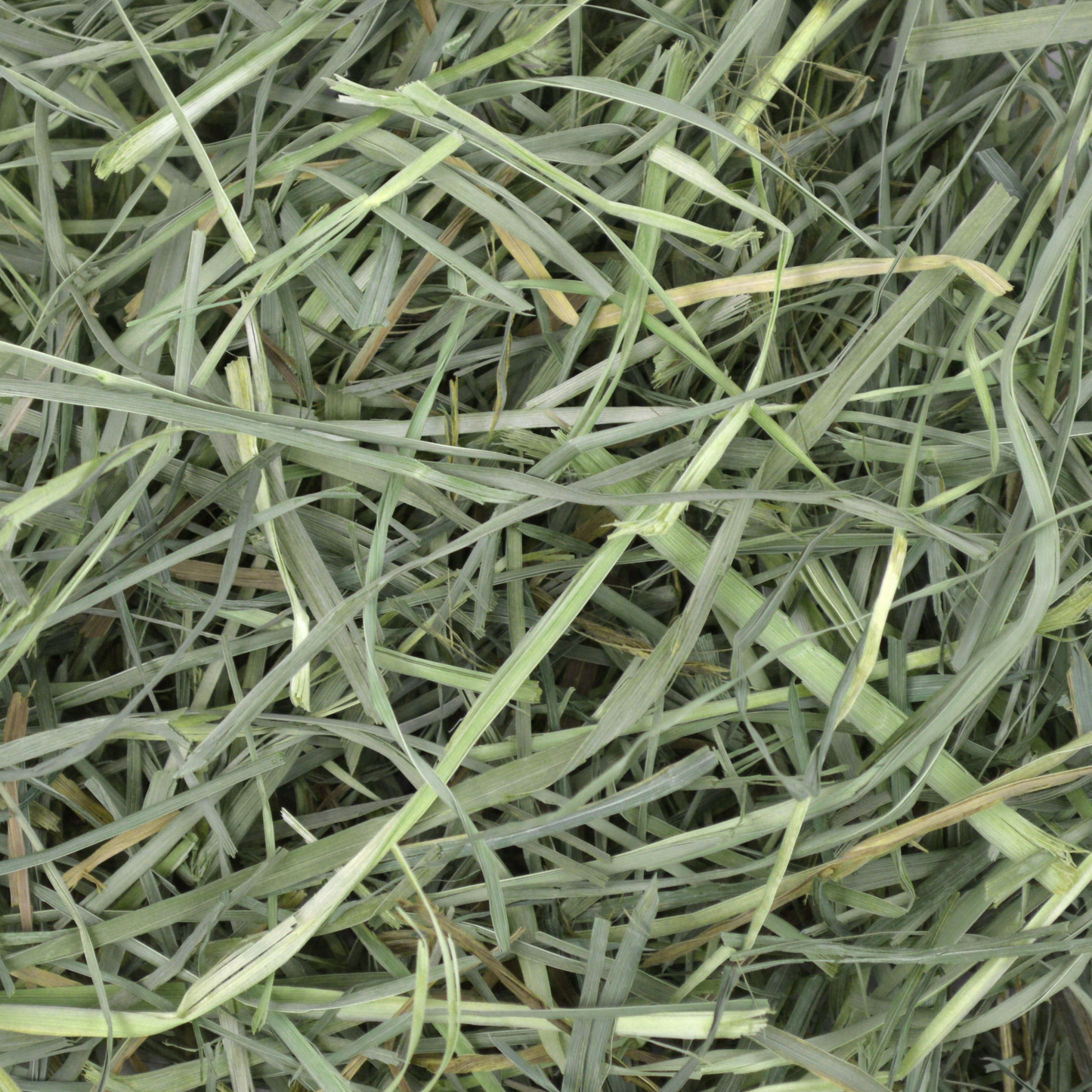 Oxbow Orchard Grass Hay 15oz