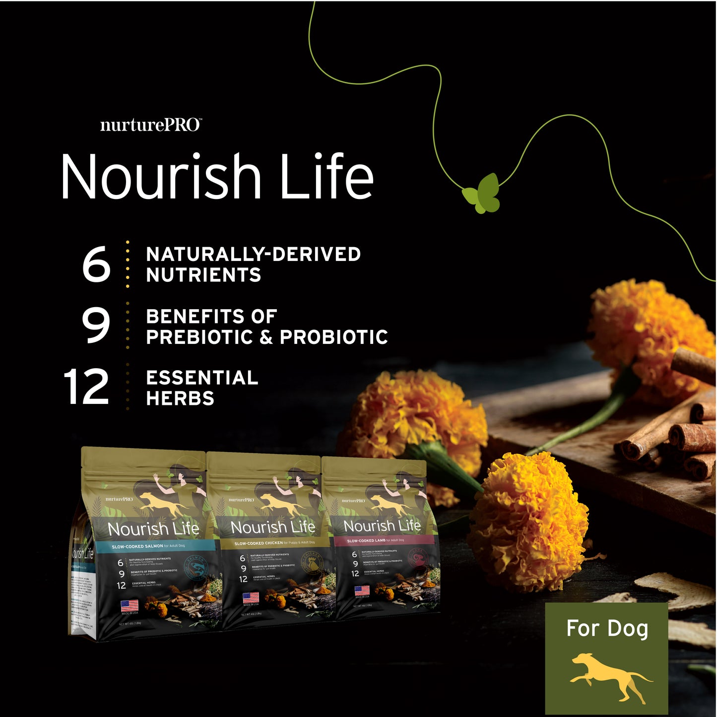 nurturePRO Nourish Life Salmon Formula For Adult